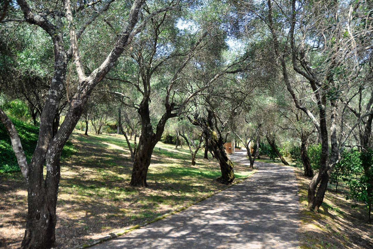 Вилла на Корфу, Греция, 630 м² - фото 15