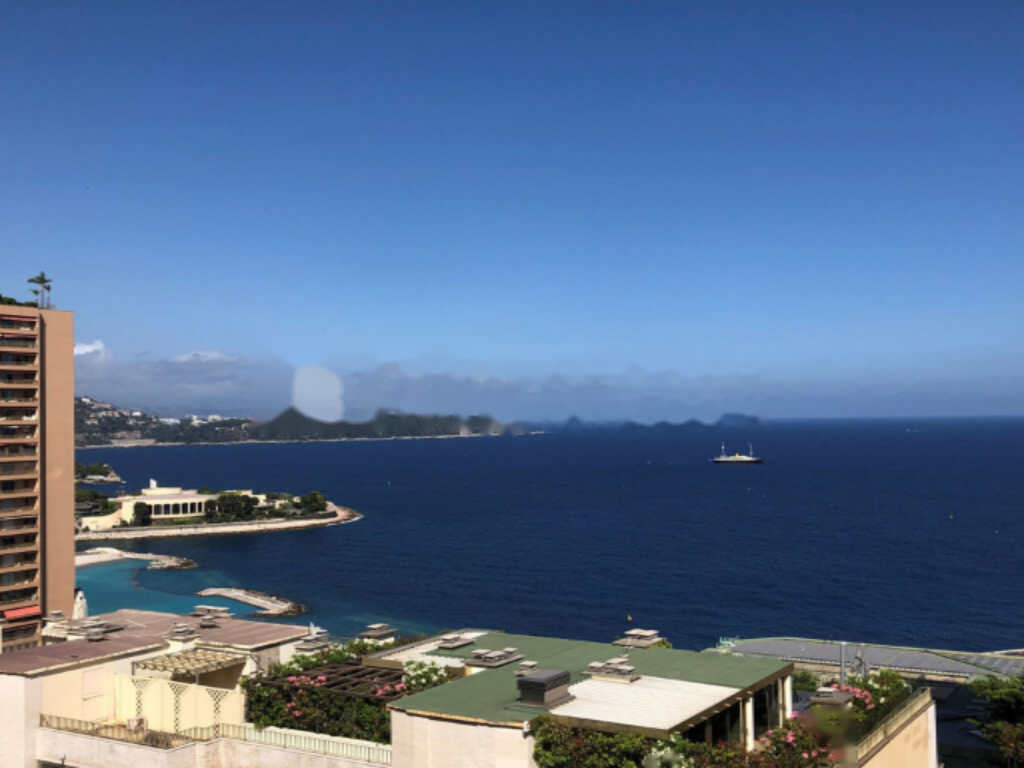 Квартира в Монте Карло, Монако, 474 м² - фото 12