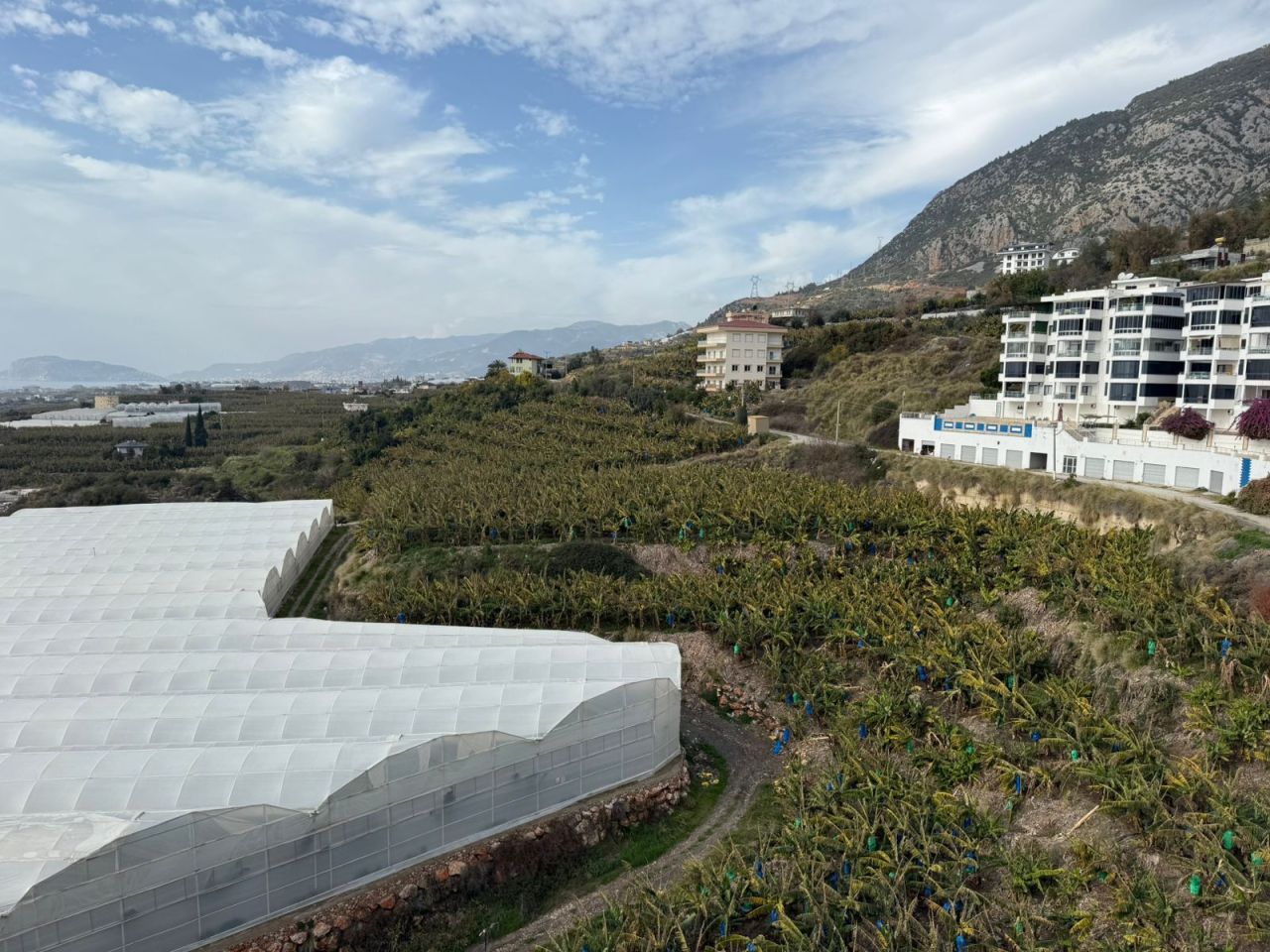 Апартаменты в Алании, Турция, 210 м² - фото 15