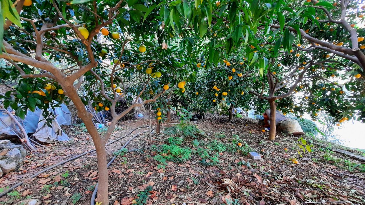 Вилла в Алании, Турция, 280 м² - фото 16