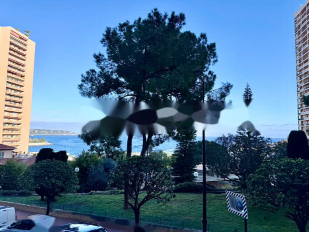 Квартира в Монте Карло, Монако, 130 м² - фото 13