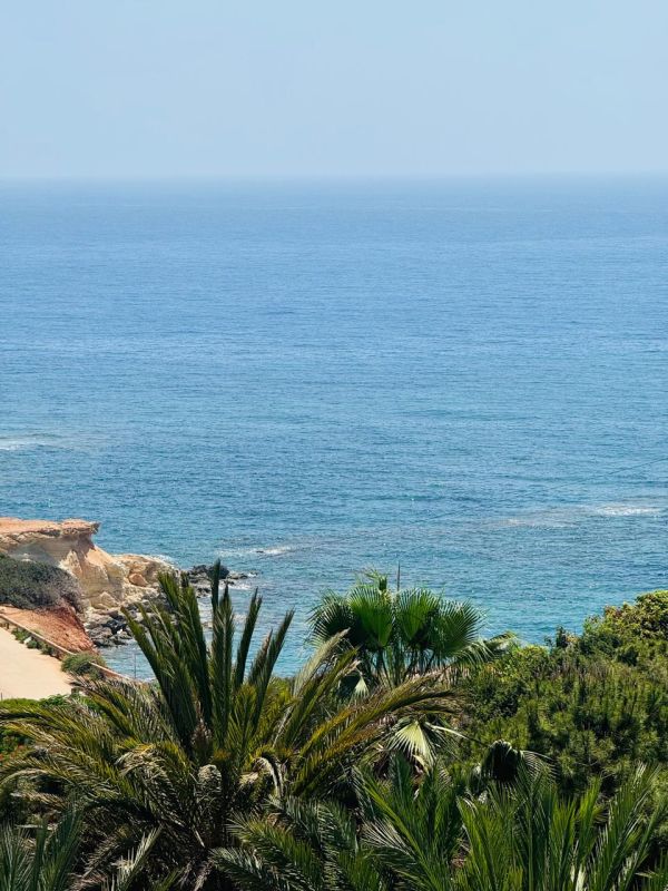 Вилла в Пафосе, Кипр, 411 м² - фото 18