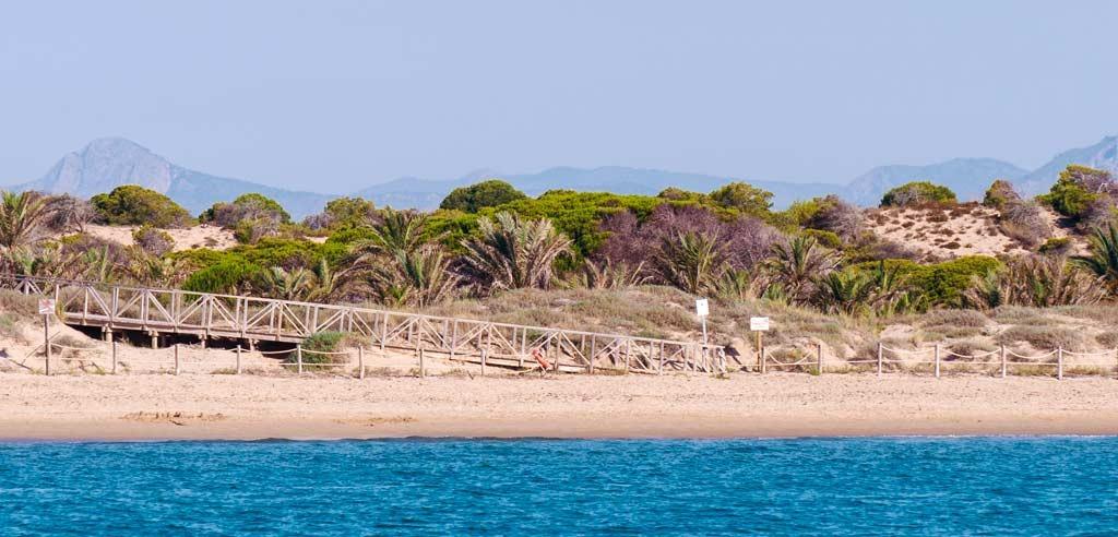 Апартаменты в Гуардамар-дель-Сегура, Испания, 86 м² - фото 17