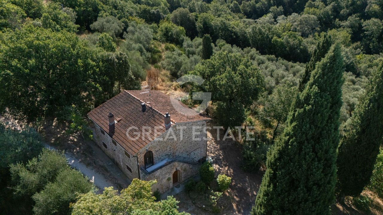 Дом в Торрита-ди-Сьене, Италия, 244 м² - фото 6