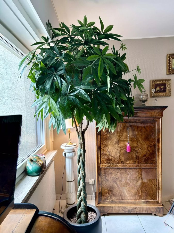 Квартира в Люксембурге, Люксембург, 115 м² - фото 2