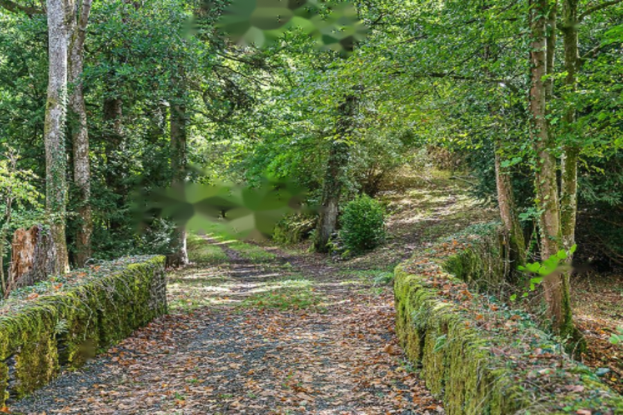 Квартира в Дикирхе, Люксембург - фото 3