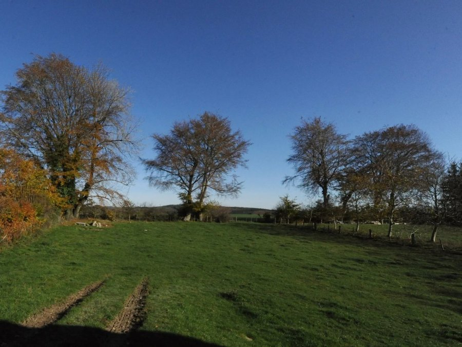 Квартира в Дикирхе, Люксембург, 600 м² - фото 4