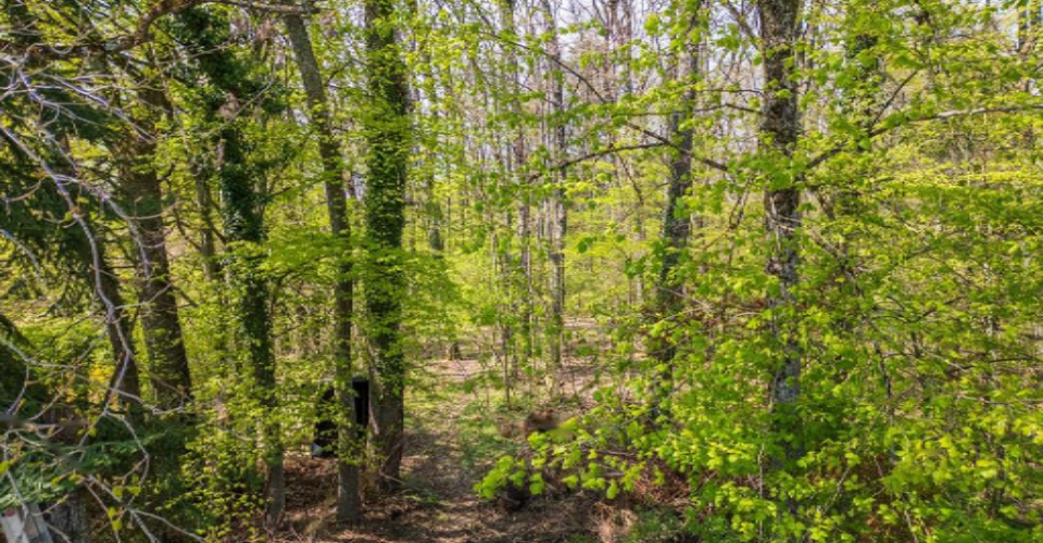 Квартира в Женеве, Швейцария, 201 м² - фото 4