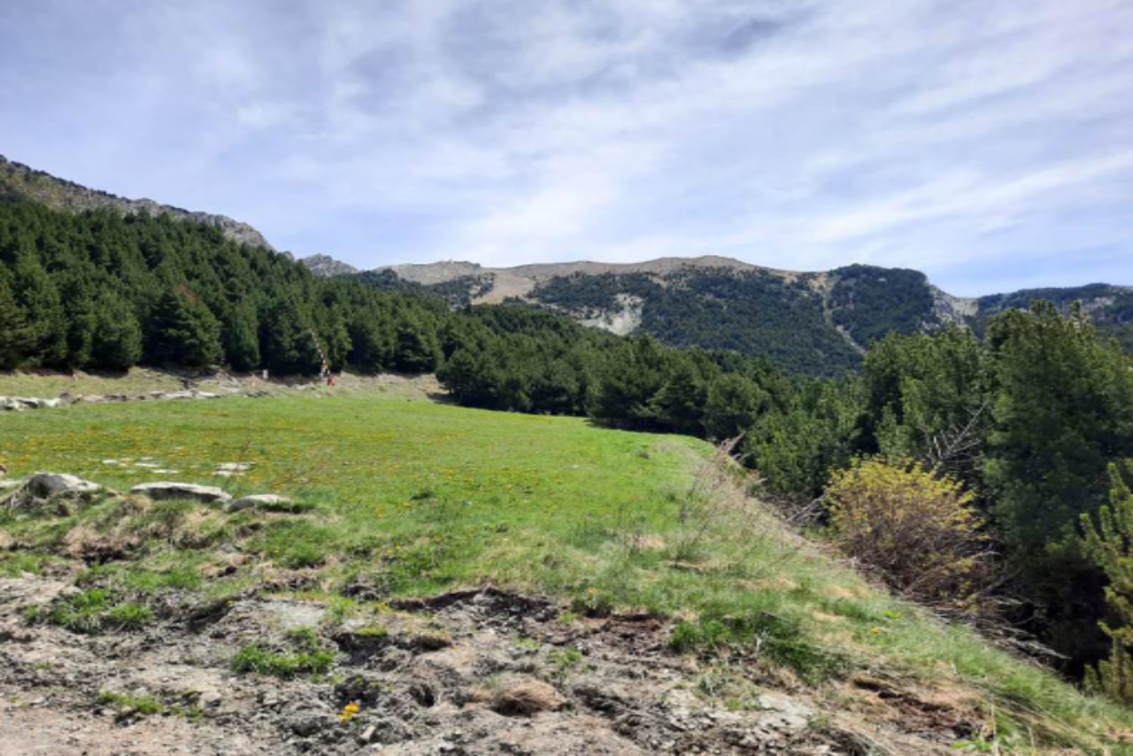 Квартира в Канильо, Андорра, 320 м² - фото 8