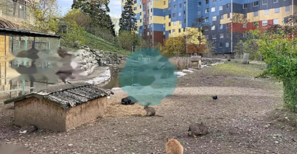 Квартира в Женеве, Швейцария, 93 м² - фото 10