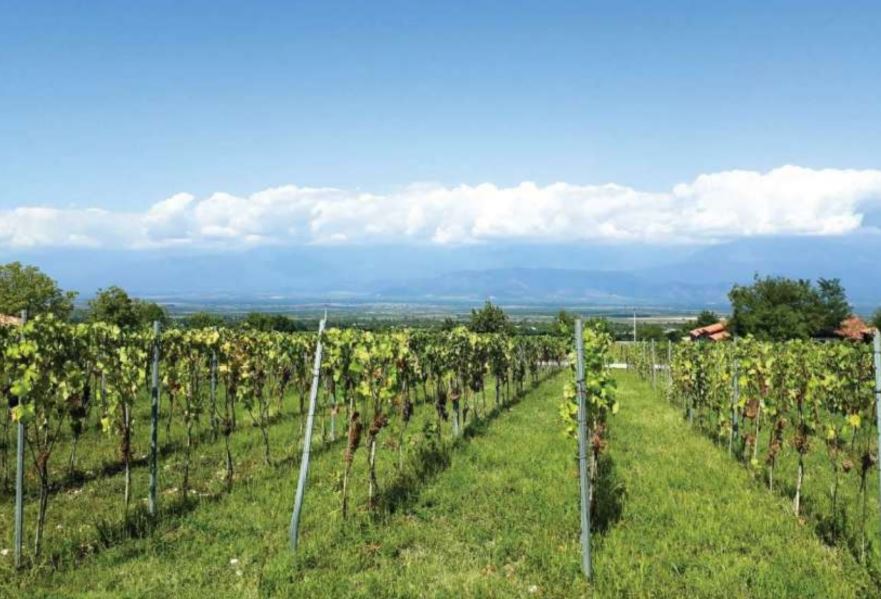 Вилла в Телави, Грузия, 86 м² - фото 3