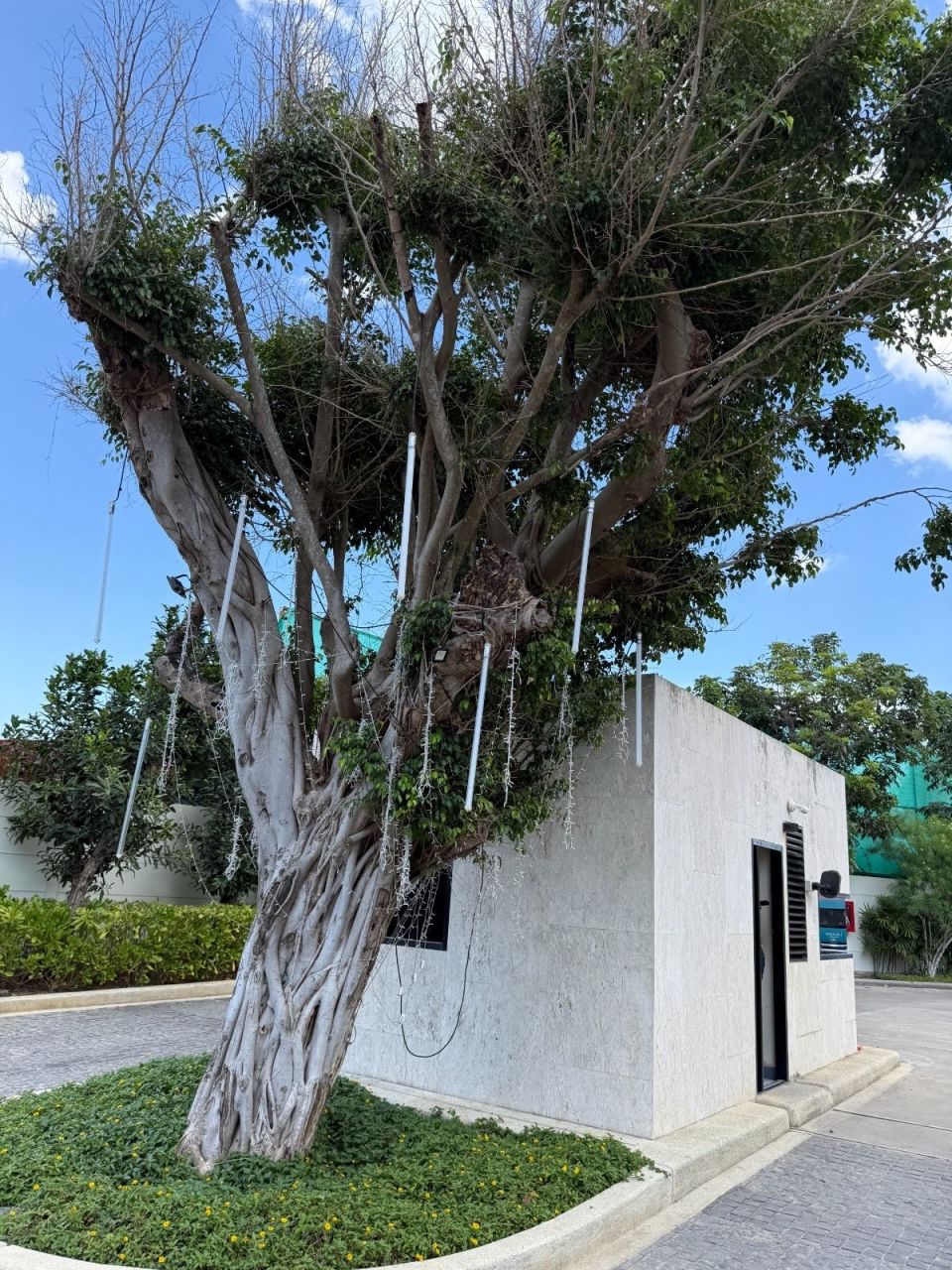 Вилла на пляже Банг Тао, Таиланд, 468 м² - фото 7