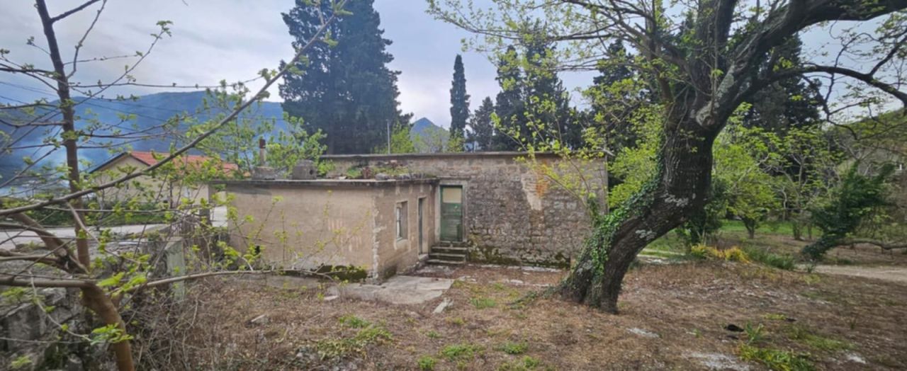 Дом под реконструкцию в Херцег-Нови, Черногория, 107 м² - фото 7