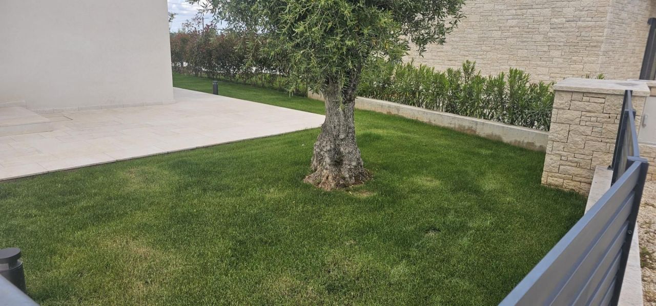 Вилла в Порече, Хорватия, 234 м² - фото 11