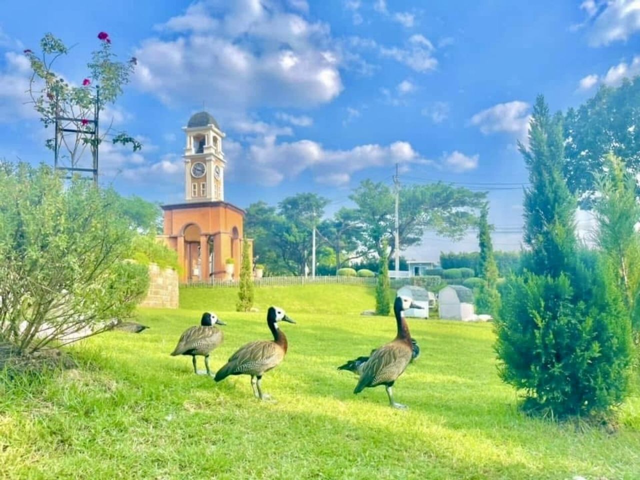 Дом в Паттайе, Таиланд, 134 м² - фото 6