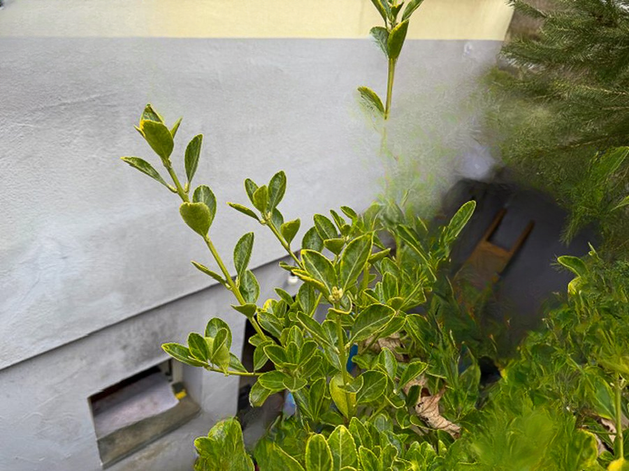 Квартира в Люксембурге, Люксембург, 48 м² - фото 4