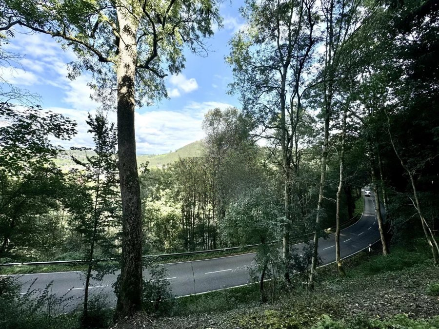 Квартира в Дикирхе, Люксембург, 217 м² - фото 6