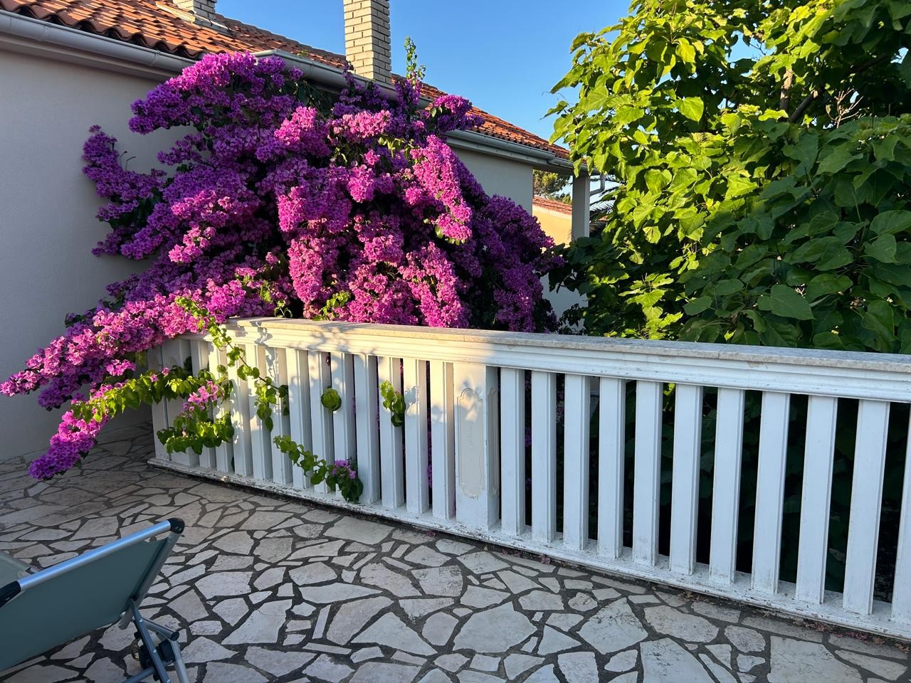 Дом в Лижняне, Хорватия, 353 м² - фото 6