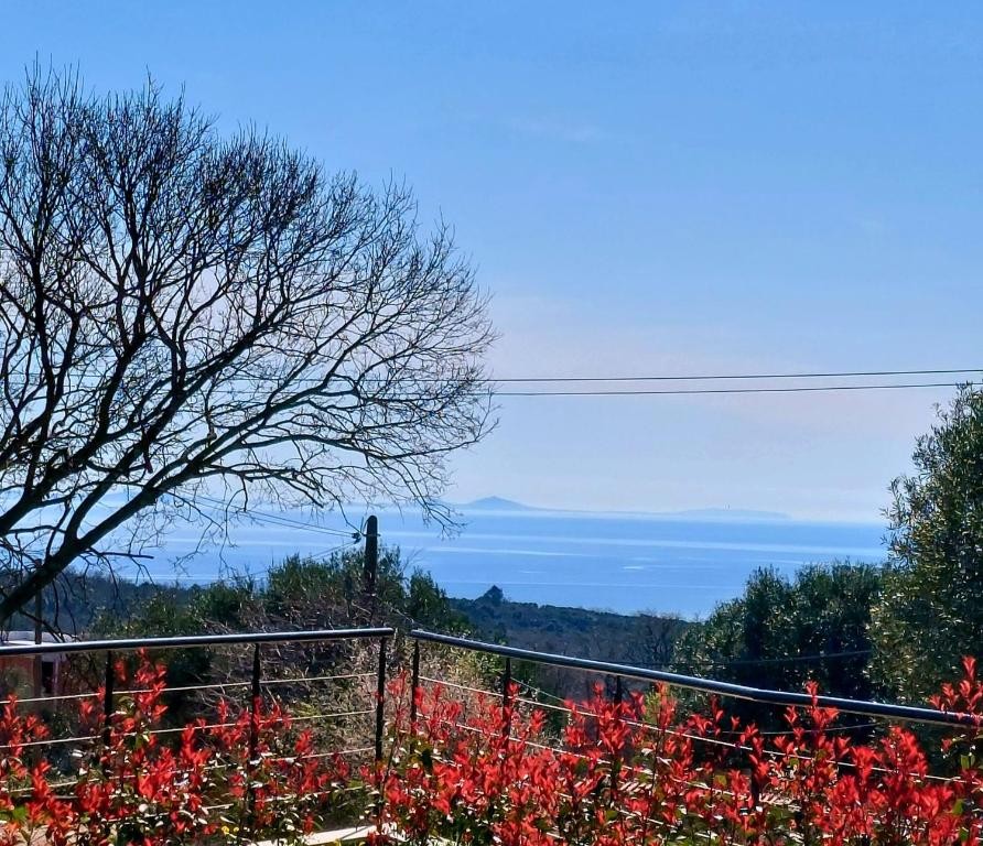 Дом в Марчане, Хорватия, 200 м² - фото 14