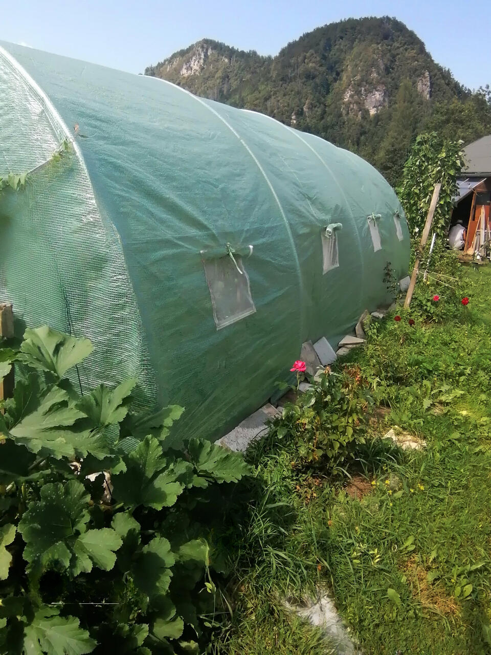 Дом в Бледе, Словения, 169 м² - фото 7