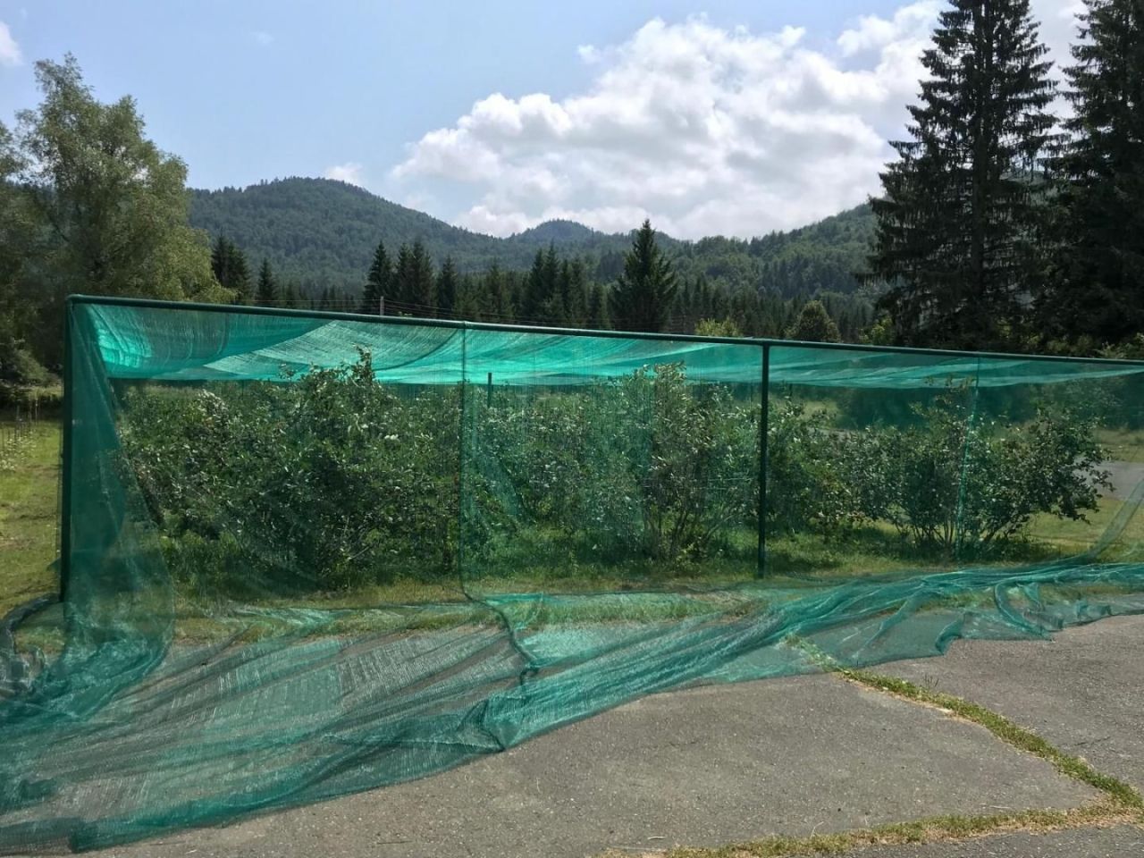 Отель, гостиница Ogulin, Хорватия, 1 000 м² - фото 5