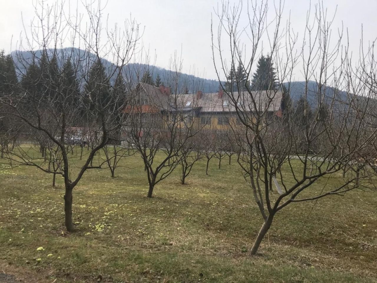 Отель, гостиница Ogulin, Хорватия, 1 000 м² - фото 6