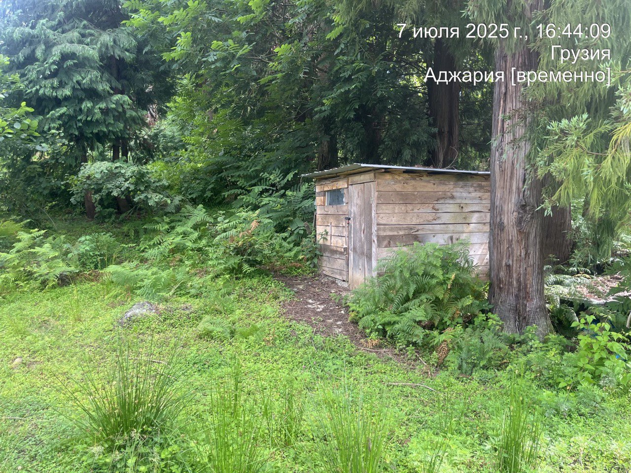 Земля в Чакви, Грузия, 2 500 м² - фото 4