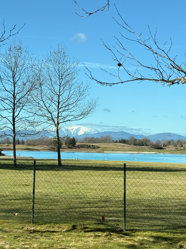 Квартира в Обервальтерсдорфе, Австрия, 109 м² - фото 2