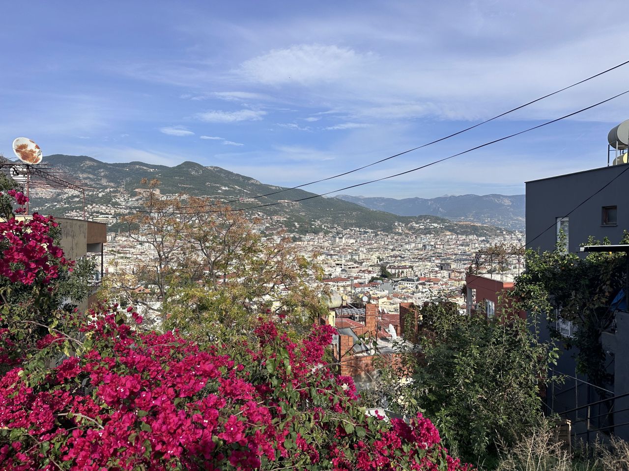 Земля в Алании, Турция, 219 м² - фото 1