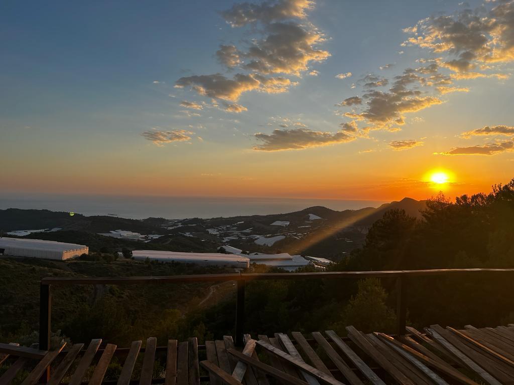 Земля в Алании, Турция, 11 500 м² - фото 1