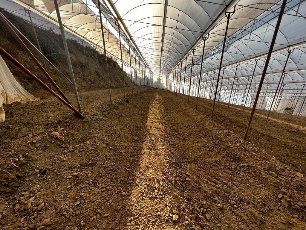 Земля в Алании, Турция, 11 500 м² - фото 3