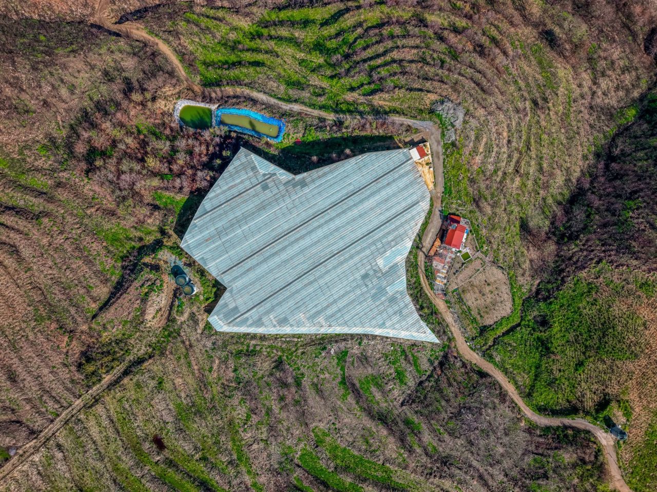 Земля в Алании, Турция, 8 500 м² - фото 3