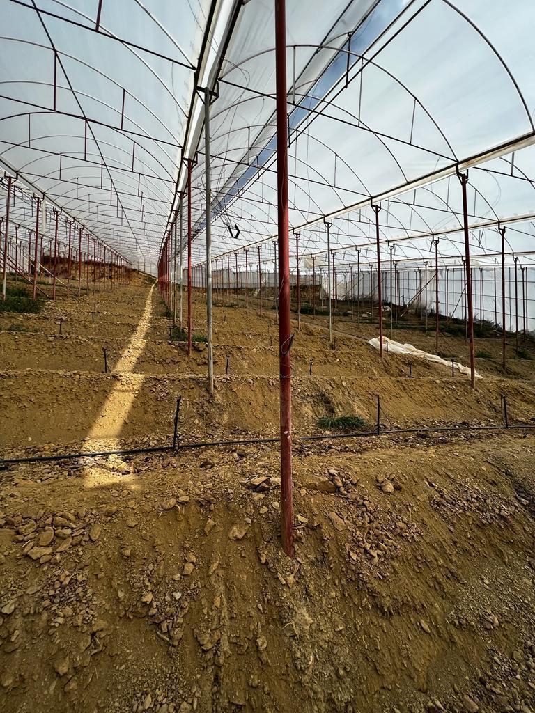 Земля в Алании, Турция, 11 500 м² - фото 5