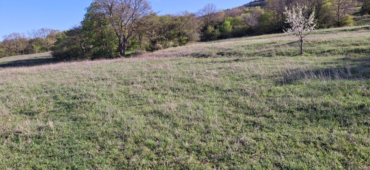 Земля в Тбилиси, Грузия, 7 000 м² - фото 5