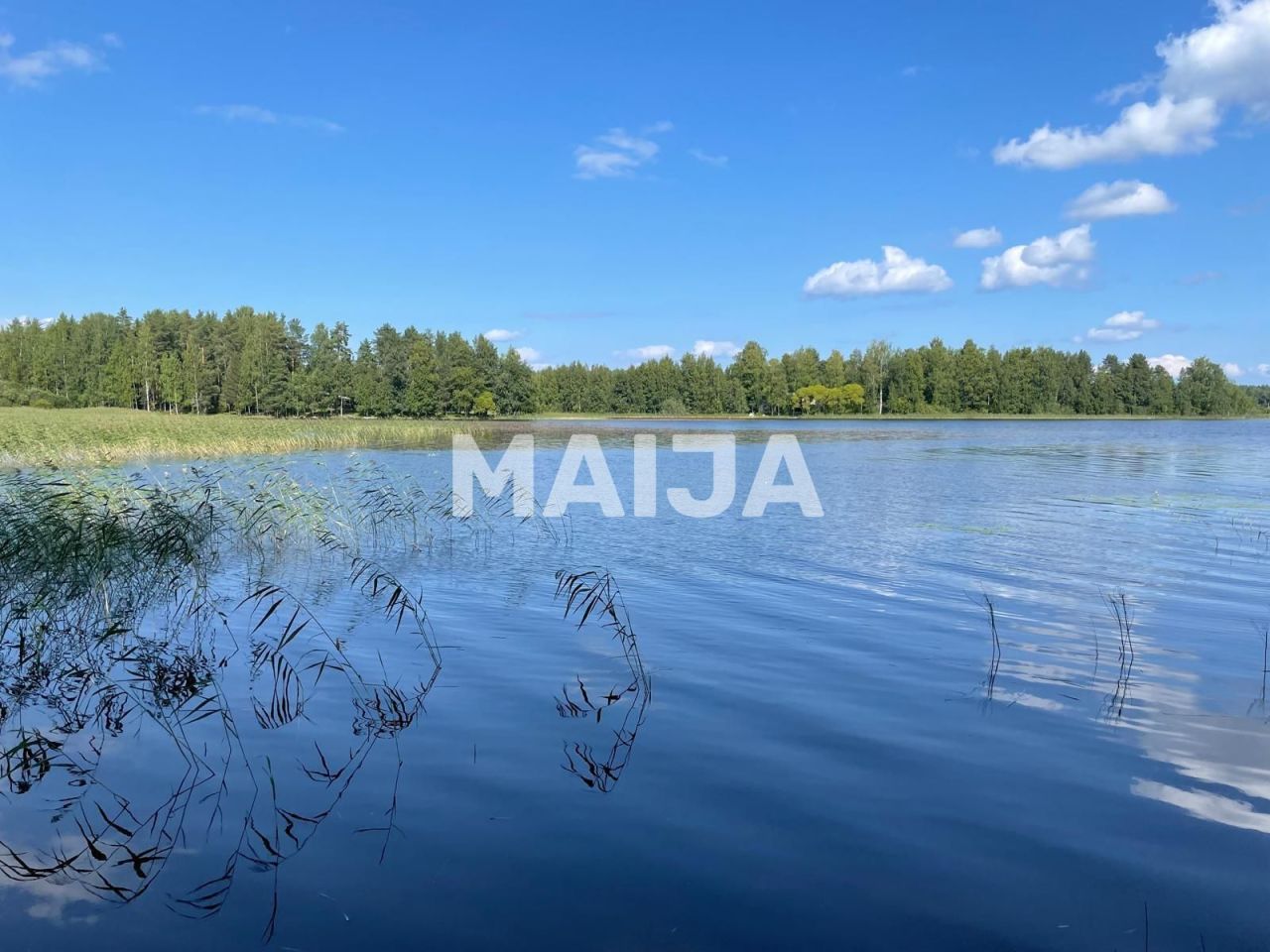 Коттедж в Савонлинне, Финляндия, 56 м² - фото 6