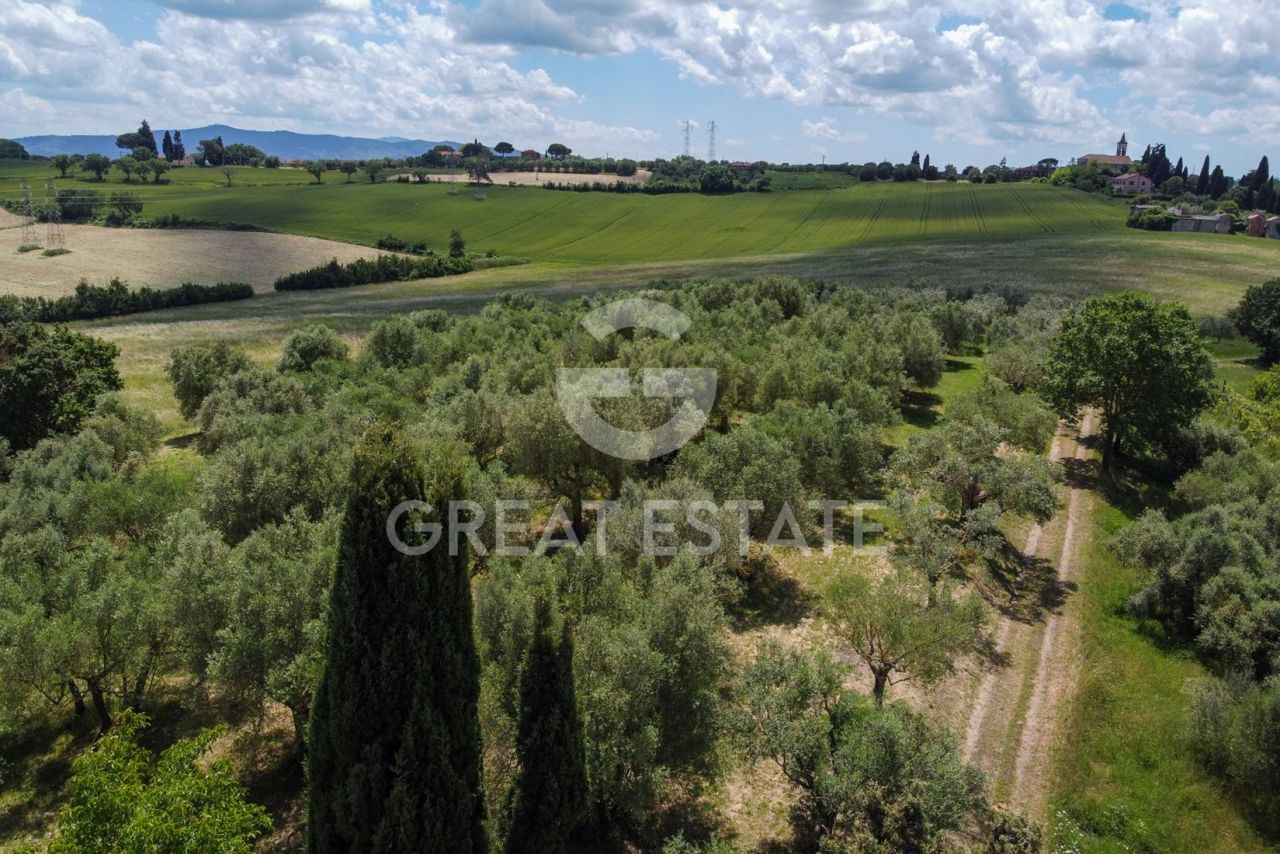 Дом в Кастильоне-дель-Лаго, Италия, 323.8 м² - фото 5