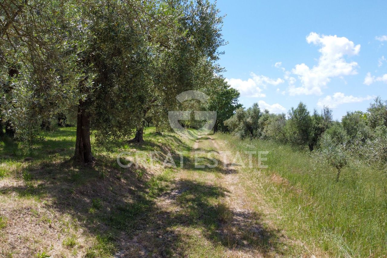 Дом в Кастильоне-дель-Лаго, Италия, 323.8 м² - фото 6