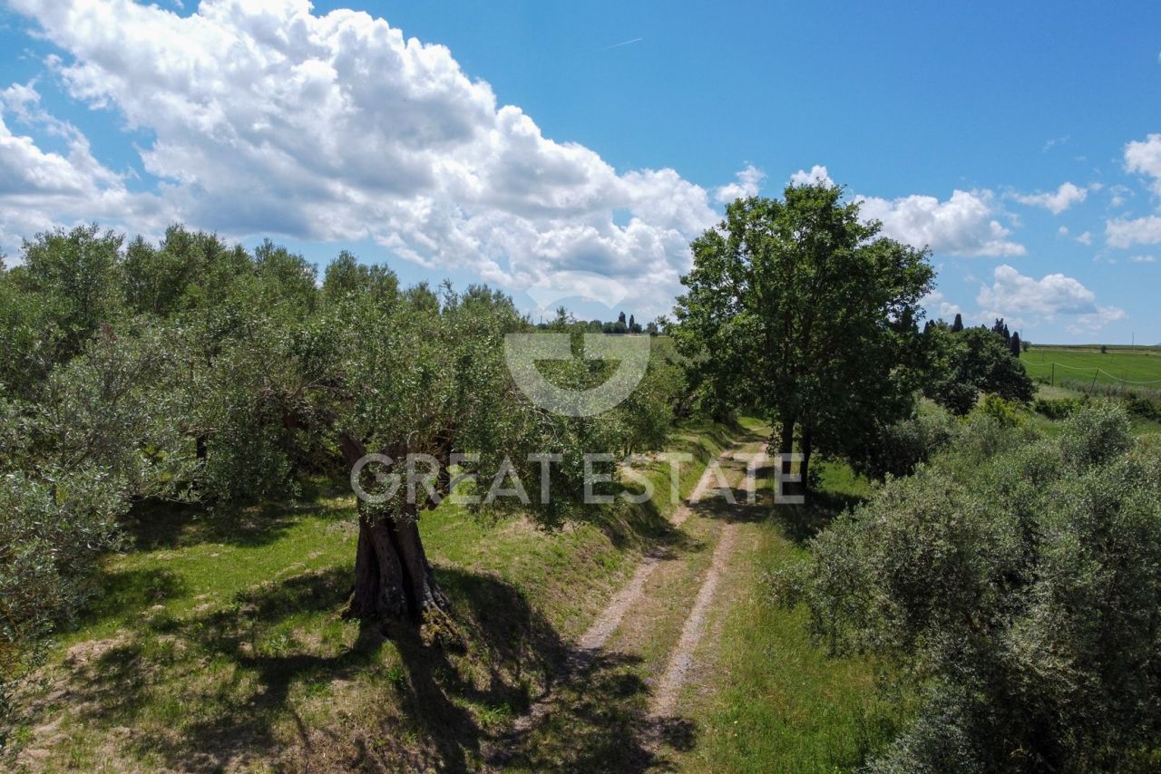 Дом в Кастильоне-дель-Лаго, Италия, 323.8 м² - фото 7