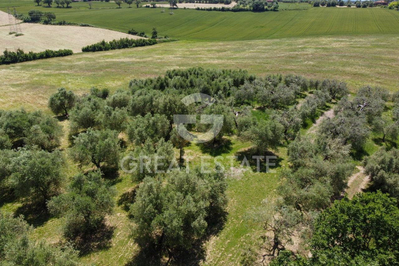 Дом в Кастильоне-дель-Лаго, Италия, 323.8 м² - фото 9