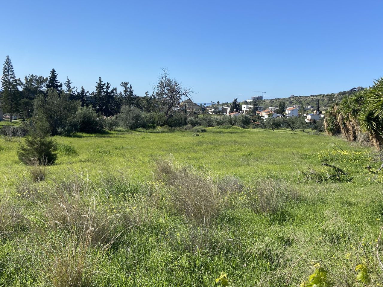 Земля в Агиос Тихоне, Кипр, 3 030 м² - фото 11