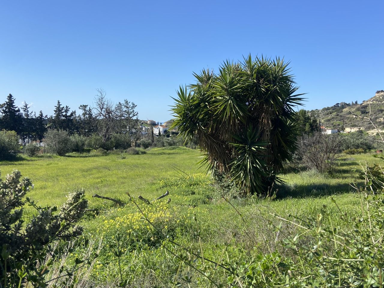 Земля в Агиос Тихоне, Кипр, 3 030 м² - фото 13