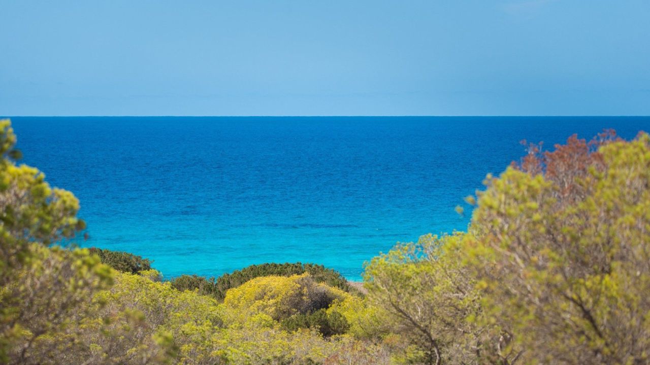 Дом на Форментере, Испания, 300 м² - фото 10