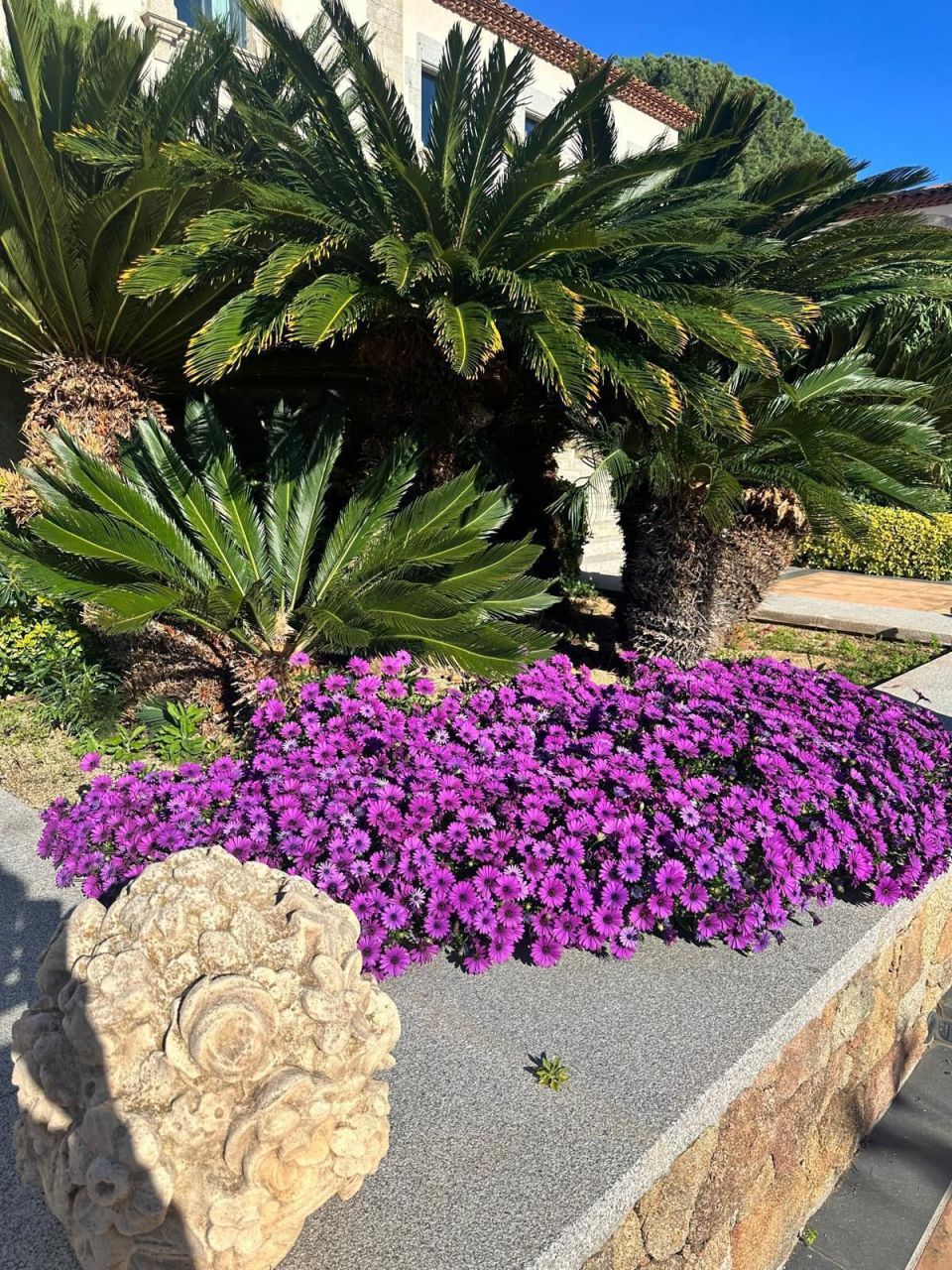 Дом на Коста-дель-Маресме, Испания, 1 755 м² - фото 16