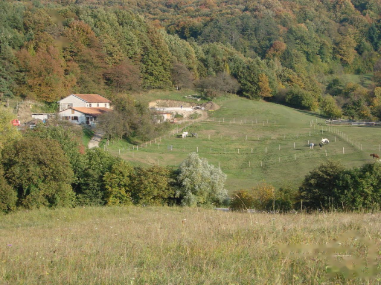 Ферма в Сежане, Словения, 475 м² - фото 1