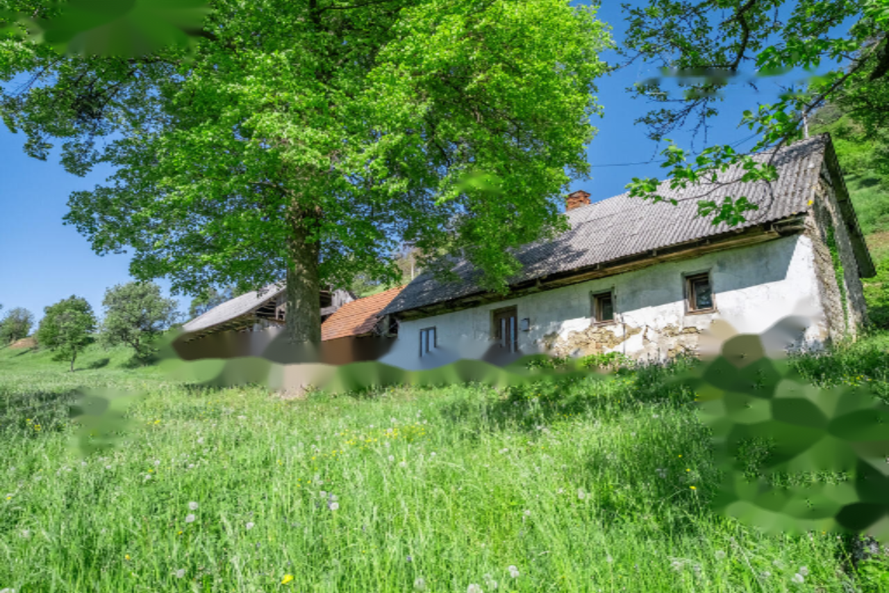 Ферма в Шмарье-при-Елшах, Словения, 27 572 м² - фото 2