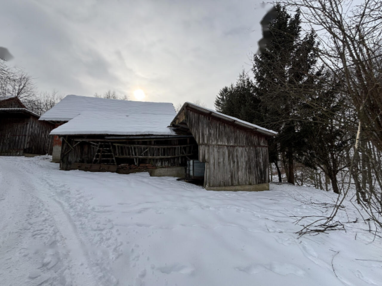 Ферма в Орможе, Словения, 41 847 м² - фото 3