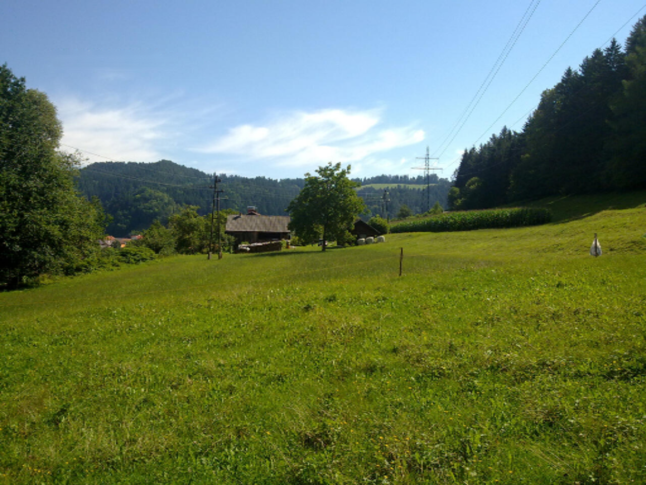 Ферма в Муте, Словения, 42 400 м² - фото 3