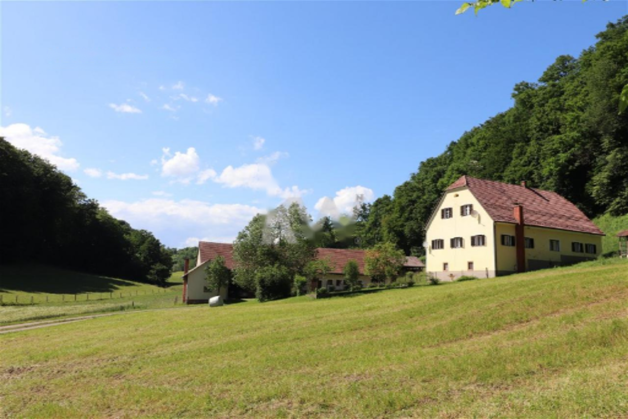 Ферма в Шентиле, Словения, 393 м² - фото 3