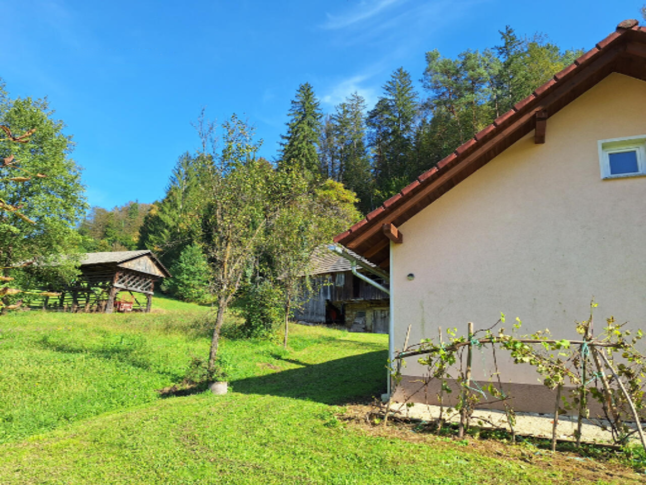 Ферма в Севнице, Словения, 51 000 м² - фото 4