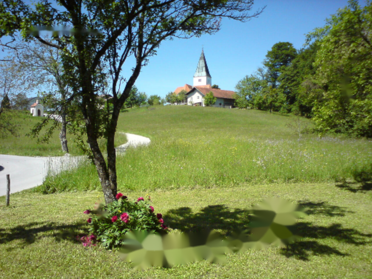 Ферма в Шмарье-при-Елшах, Словения, 20 200 м² - фото 4